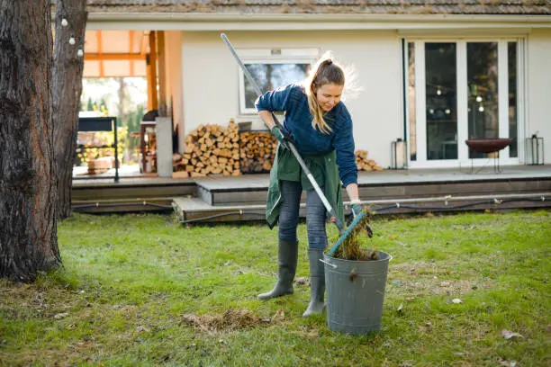 Dependable Yard Cleaning Services in Lexington, VA Dependable Yard Cleaning Services in Lexington, VA