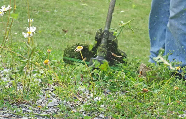 How To Clear A Yard Full Of Weeds in Lexington, VA How To Clear A Yard Full Of Weeds in Lexington, VA