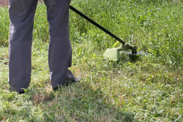 What Does A Yard Clean-up Consist Of Lexington, VA What Does A Yard Clean-up Consist Of Lexington, VA