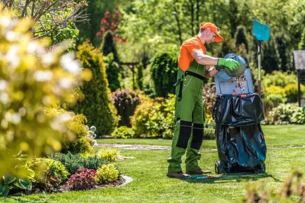 Yard Cleaning Services Lexington, VA Yard Cleaning Services Lexington, VA