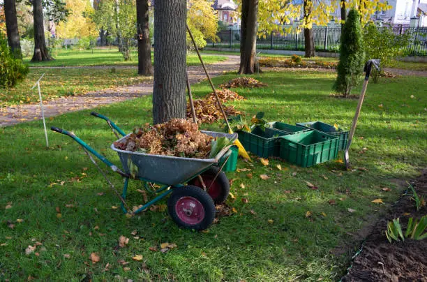 Yard Cleaning Services in Lexington, VA Yard Cleaning Services in Lexington, VA